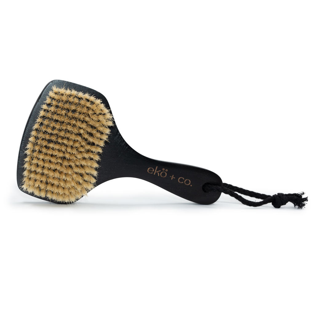 Fan Dry Body Brush