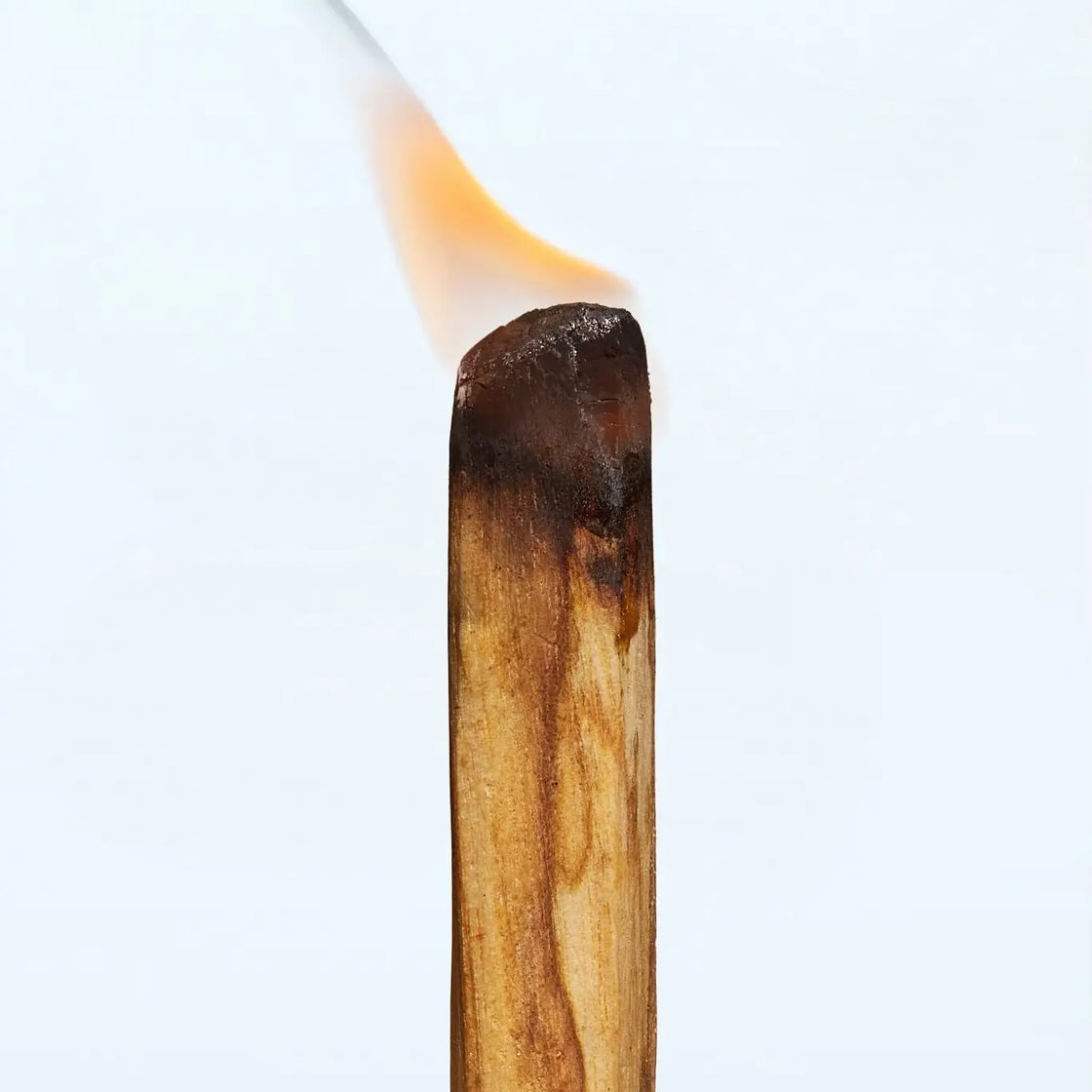 Palo Santo Sticks - Large