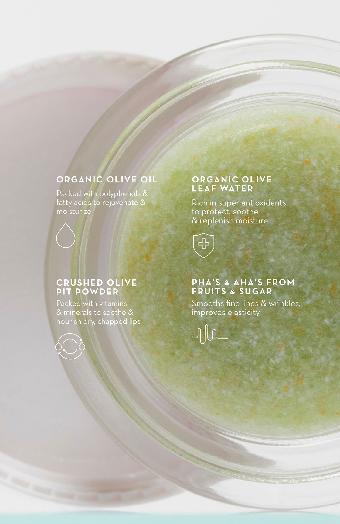 TRIPLE OLIVE LIP POLISH
