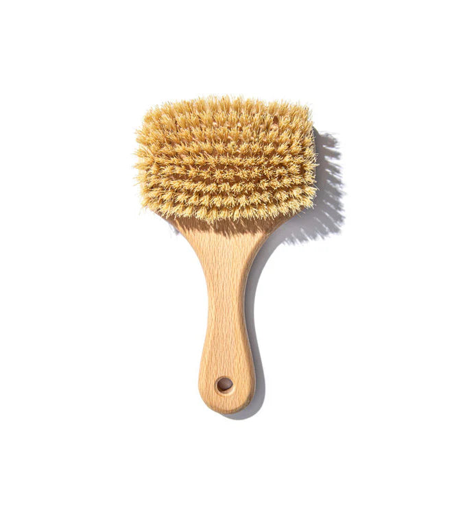 Fan Dry Body Brush