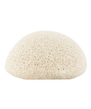 konjac2020FDdetail