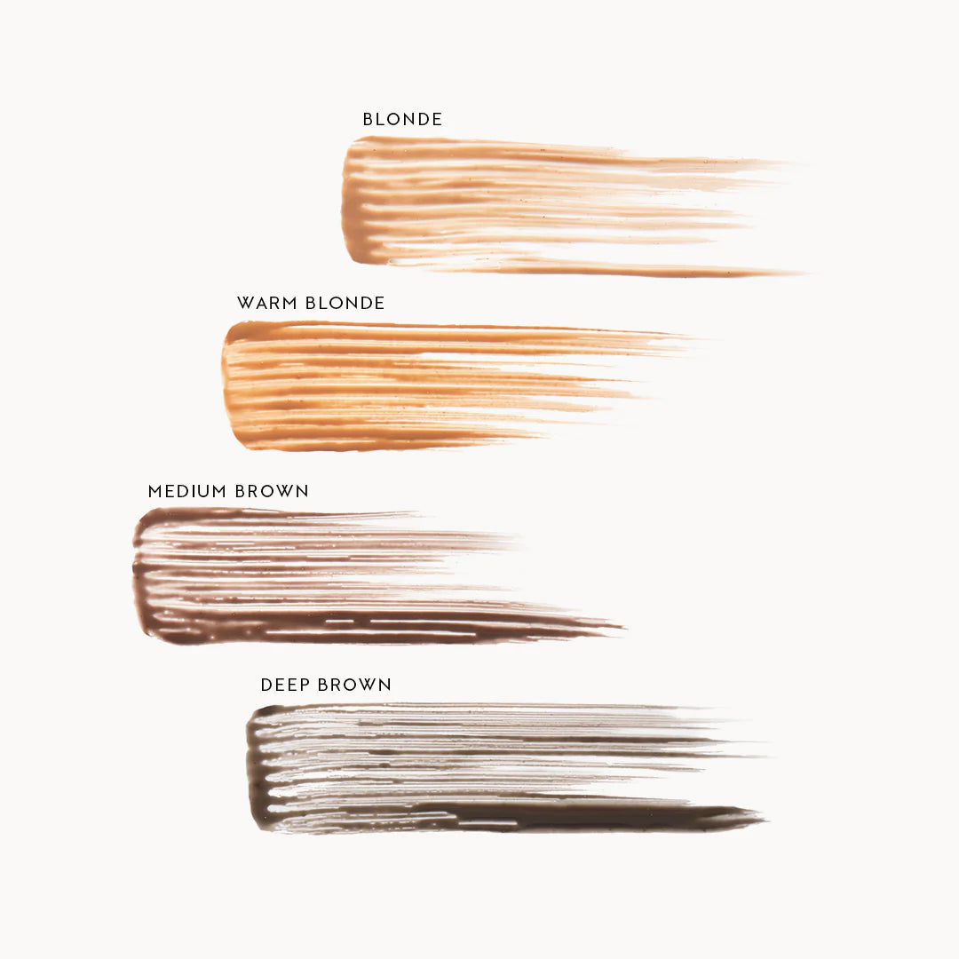 BrowGel_labeled-swatches_c4fe7011-d118-400a-9b2c-f6f6ce9b65b1