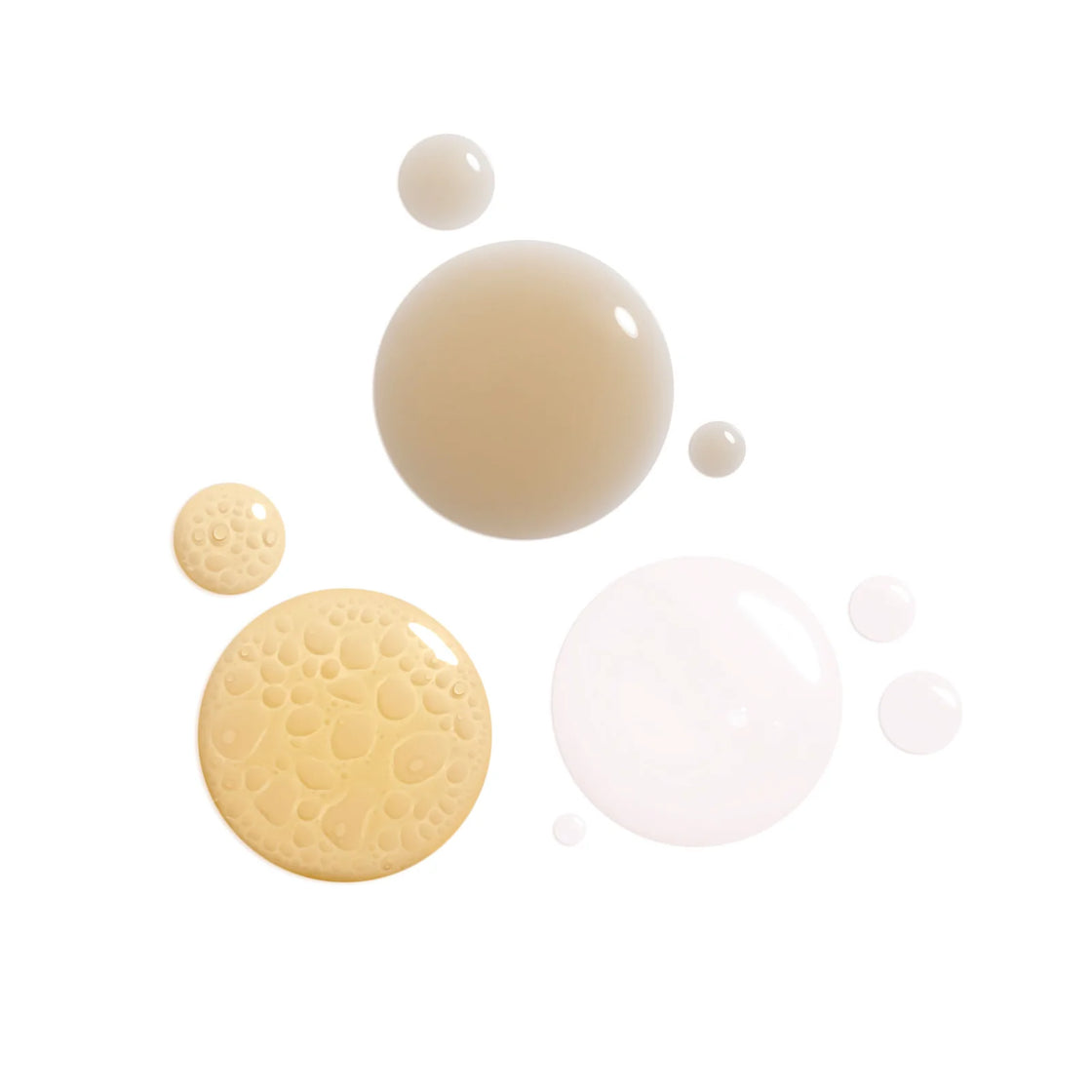 FS_TRANSFORMATION_SET_Texture_af03c65b-639e-4c13-9206-74f6ca9bd7df_800x@2x