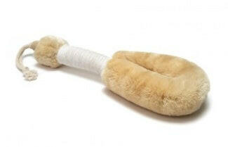 dry body brush