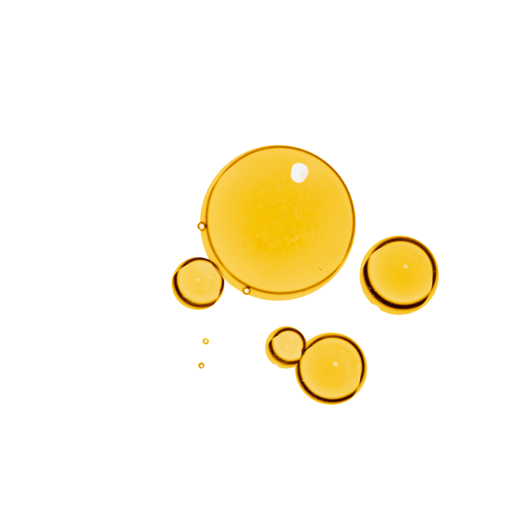 Undaria Algae Oil